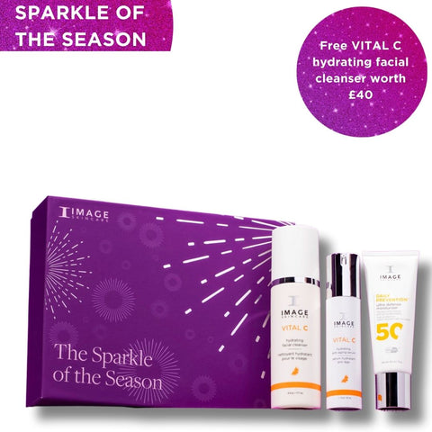 Image -The Sparkle of the Season